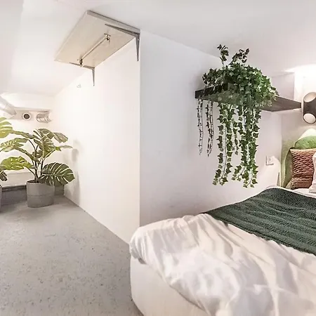 Jungle In Center By Urban Rent Apartment Wilna